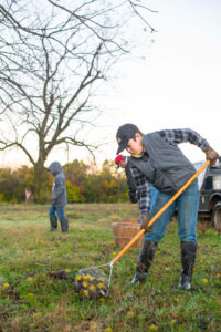 People sourcing naturally grown ingredients 